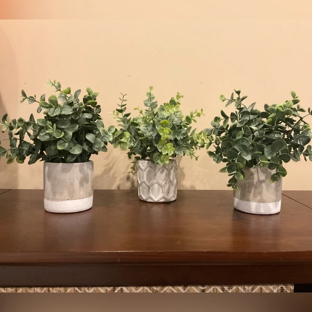 Three Decorative Faux Green Plants in Cement-Look Pots  🪴